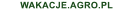 logo3.gif (1332 bytes)